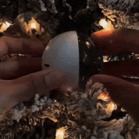 The Merry Memory Orb